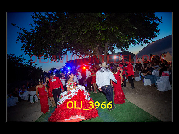 SLIDESHOW ADAMARI-754