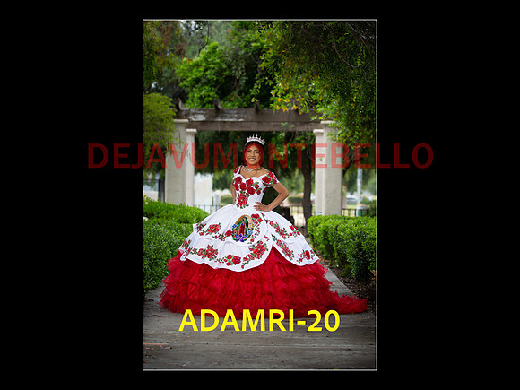 SLIDE PRE-21
