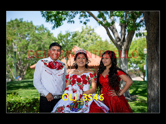 SLIDESHOW ADAMARI-399