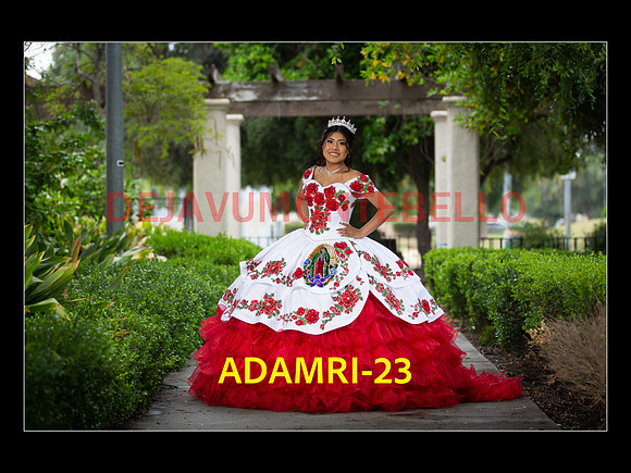 SLIDE PRE-23