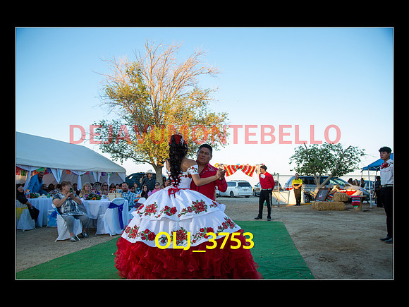 SLIDESHOW ADAMARI-558