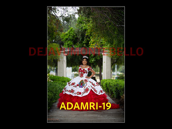 SLIDE PRE-20