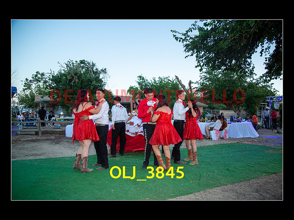 SLIDESHOW ADAMARI-647