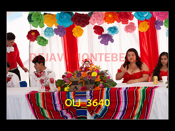 SLIDESHOW ADAMARI-461