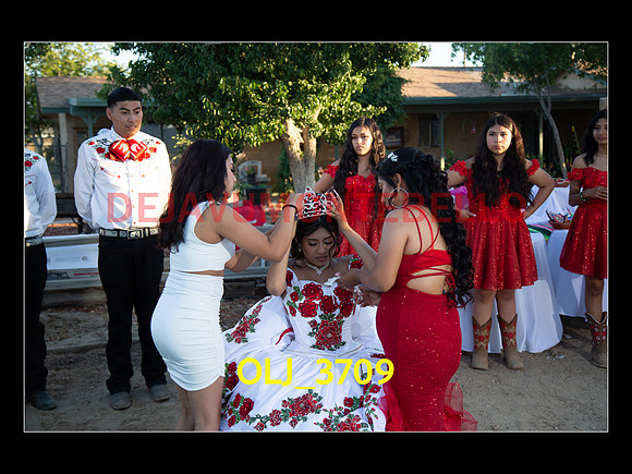 SLIDESHOW ADAMARI-517