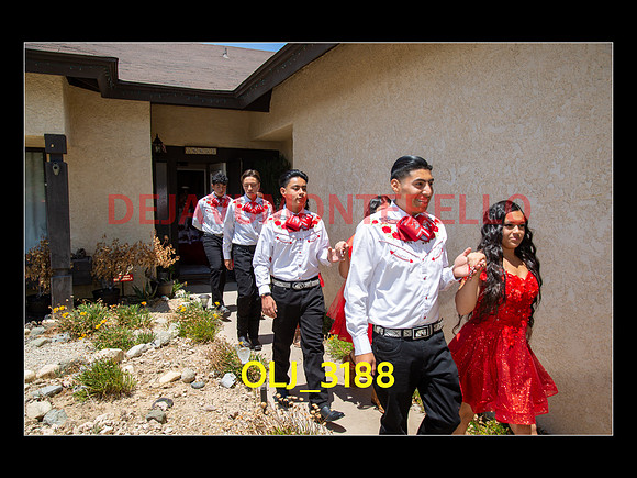 SLIDESHOW ADAMARI-100