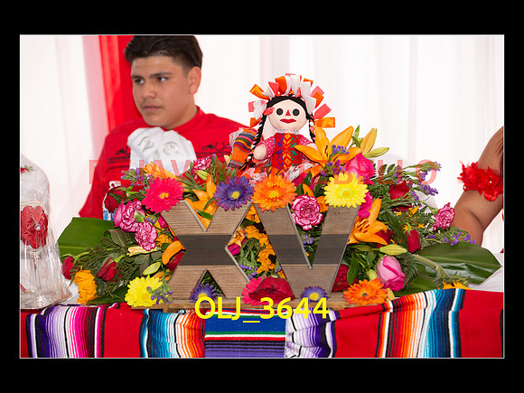 SLIDESHOW ADAMARI-465