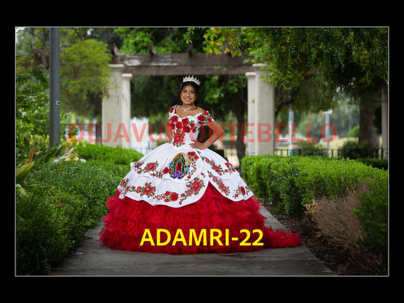 SLIDE PRE-19