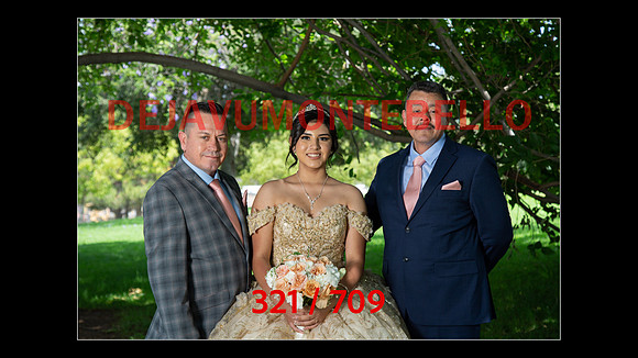SLIDESHOW-321