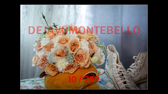 SLIDESHOW-010