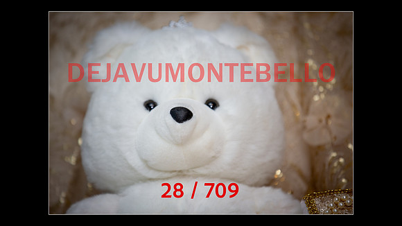 SLIDESHOW-028