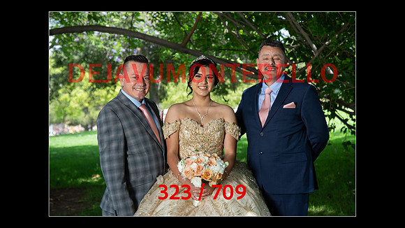 SLIDESHOW-323