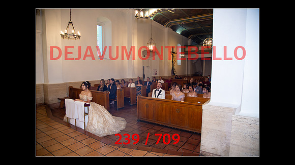 SLIDESHOW-239