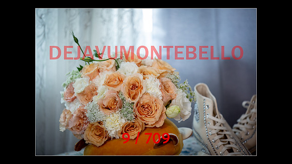 SLIDESHOW-009