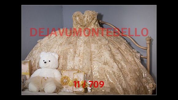 SLIDESHOW-011
