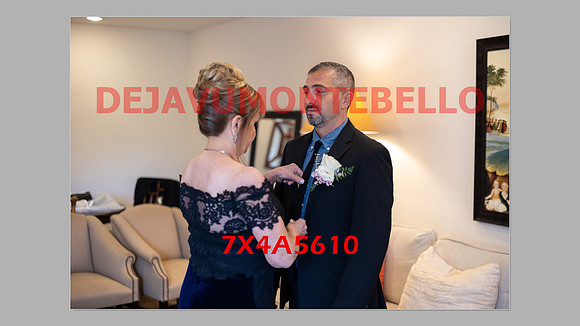 WEDDING 11_02_24-069