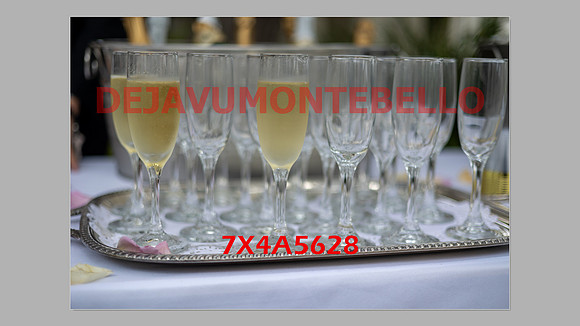 WEDDING 11_02_24-083