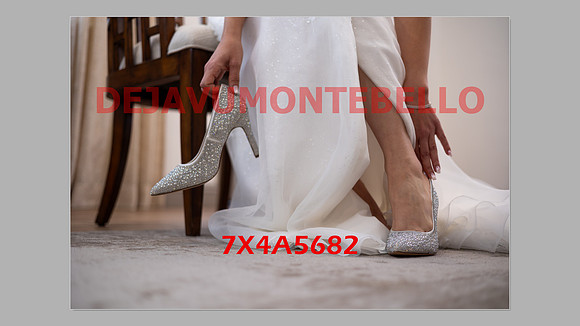 WEDDING 11_02_24-134