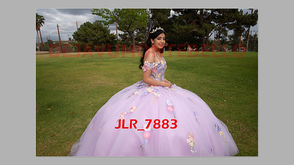 ALLISON SLIDESHOW-261