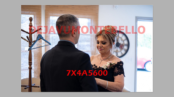 WEDDING 11_02_24-062