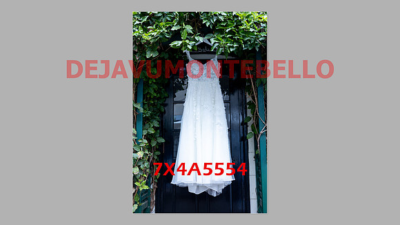 WEDDING 11_02_24-019
