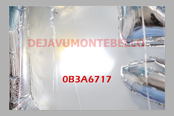 JAILEEN SLIDESHOW-0004