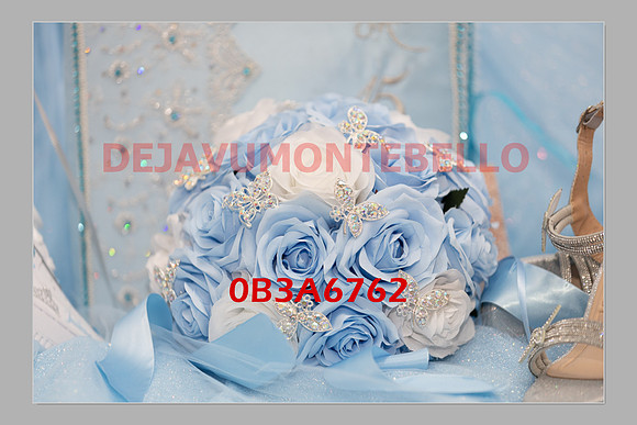 JAILEEN SLIDESHOW-0049