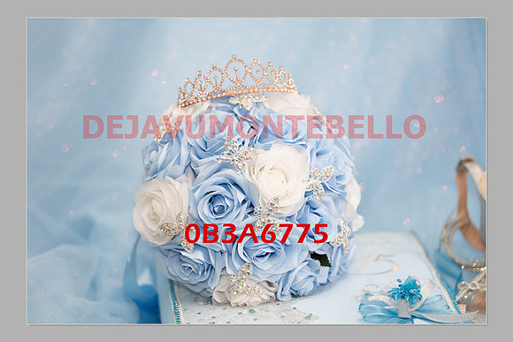 JAILEEN SLIDESHOW-0062