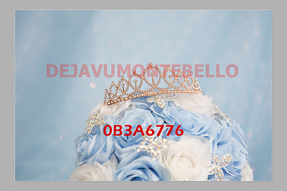 JAILEEN SLIDESHOW-0063