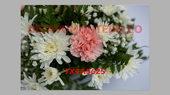 WEDDING 11_02_24-080