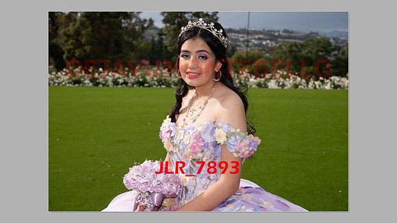 ALLISON SLIDESHOW-270