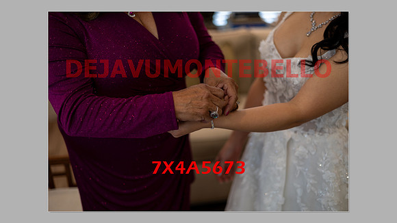 WEDDING 11_02_24-125
