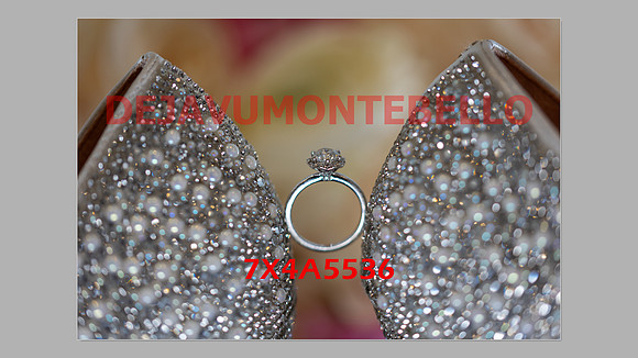 WEDDING 11_02_24-004