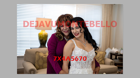 WEDDING 11_02_24-122