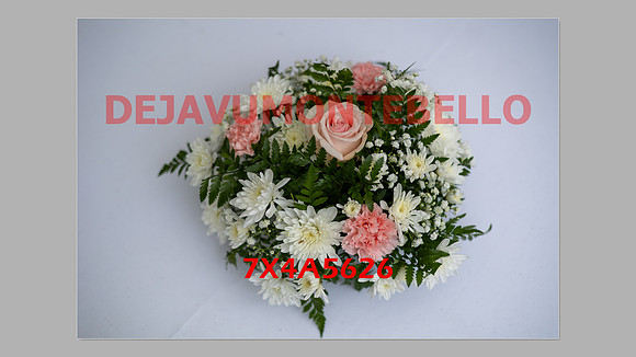 WEDDING 11_02_24-081