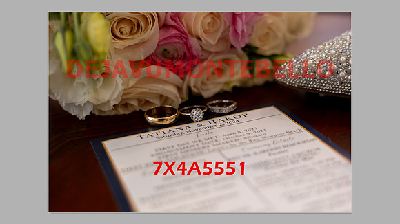 WEDDING 11_02_24-016