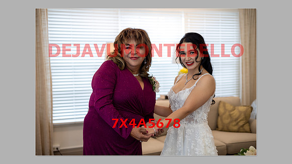 WEDDING 11_02_24-130