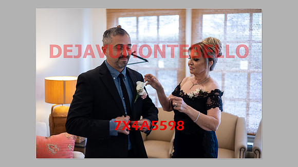 WEDDING 11_02_24-060