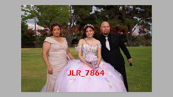ALLISON SLIDESHOW-242