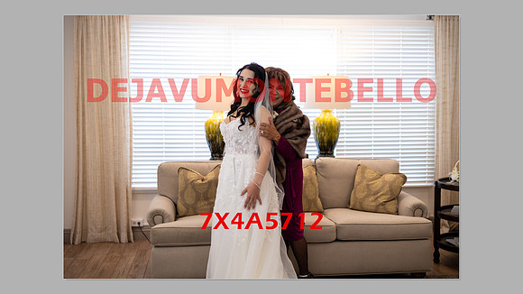 WEDDING 11_02_24-161
