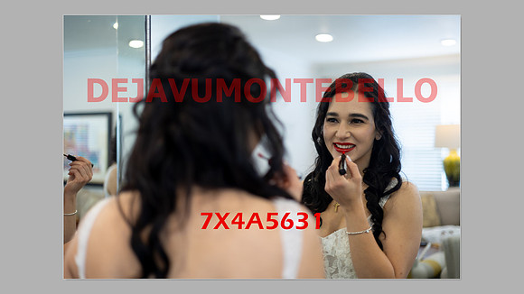 WEDDING 11_02_24-086