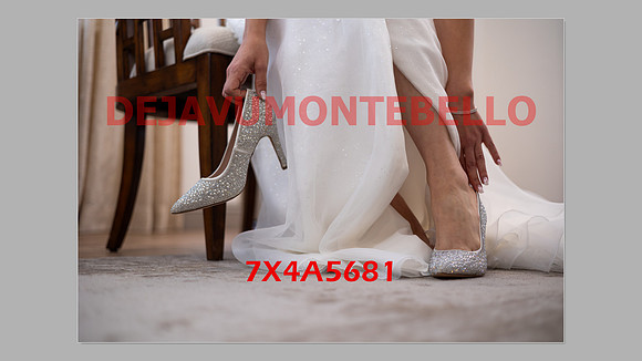 WEDDING 11_02_24-133