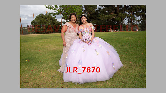 ALLISON SLIDESHOW-248