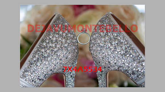 WEDDING 11_02_24-002