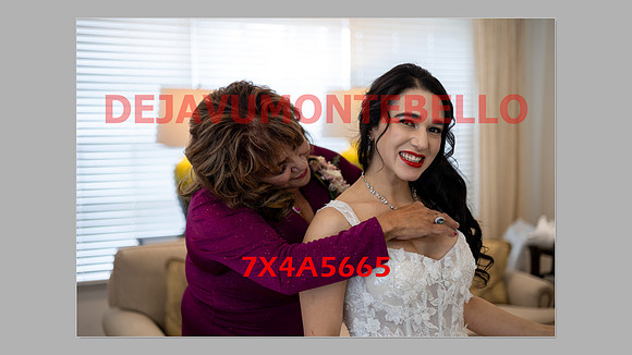 WEDDING 11_02_24-117