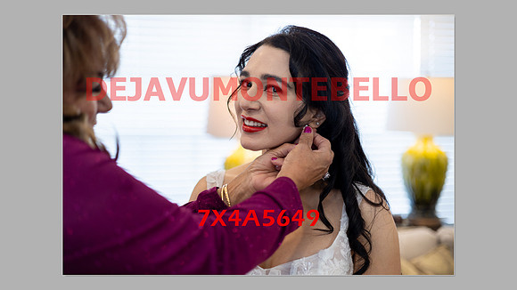 WEDDING 11_02_24-101