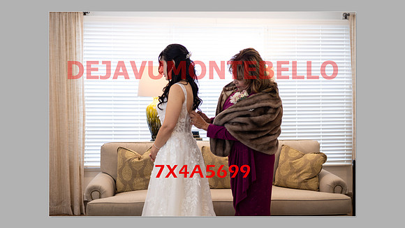 WEDDING 11_02_24-148