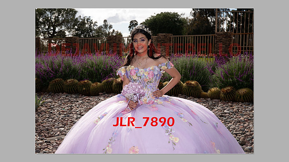 ALLISON SLIDESHOW-267