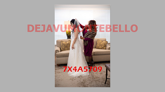 WEDDING 11_02_24-158