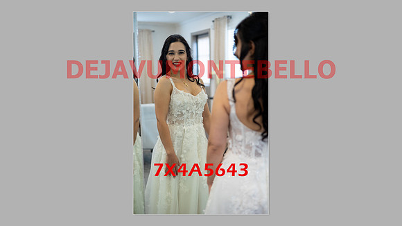 WEDDING 11_02_24-095
